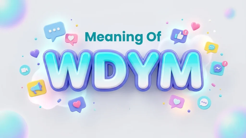 meaning of wdym