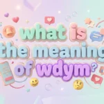 what is the meaning of wdym